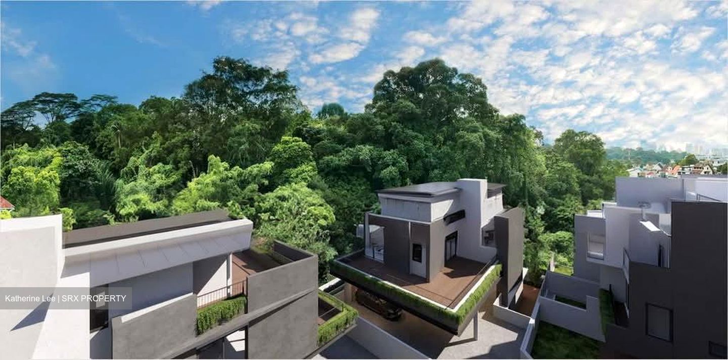 Kheam Hock Road (D11), Semi-Detached #568204441